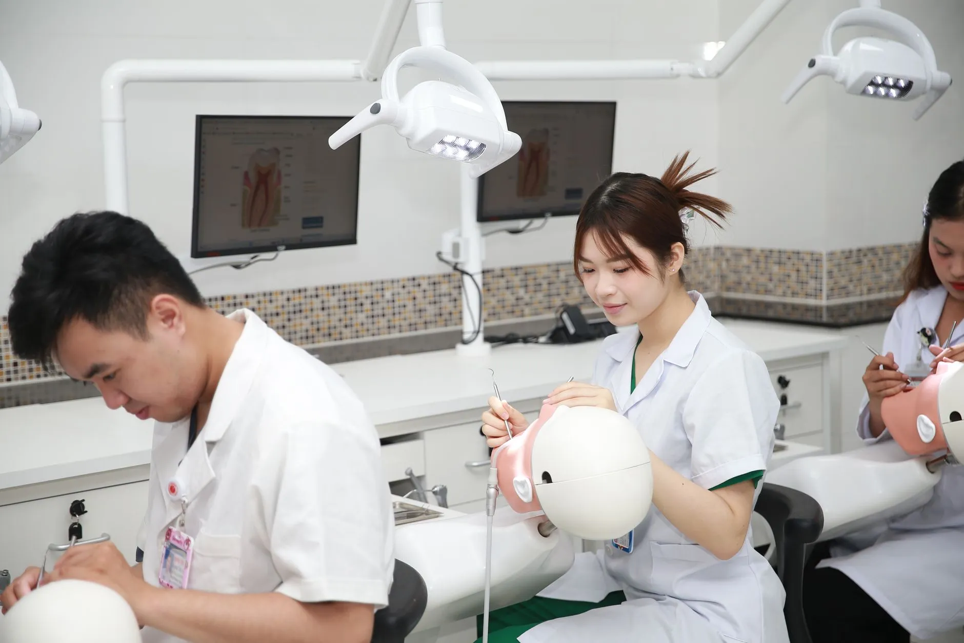 上海建筑工地常用装饰材料选购要点与质量对比分析